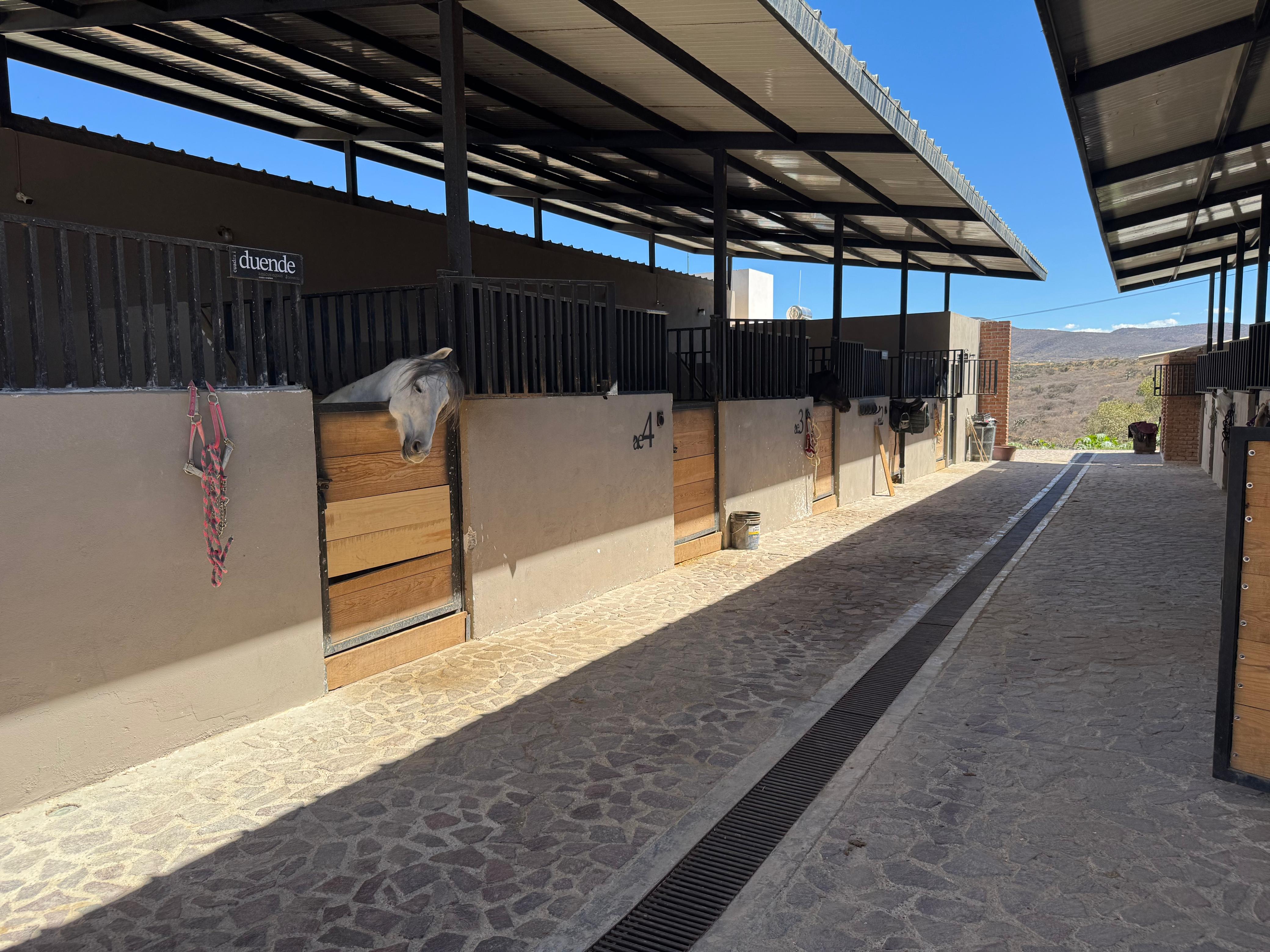 TERRENO EN VENTA EN FRACCIONAMIENTO CAMPESTRE PUERTA LUNA